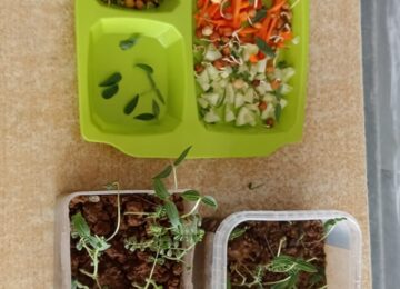 Good Food Session 2026-2027